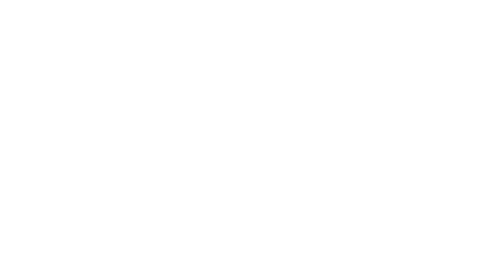 Webflow Logo
